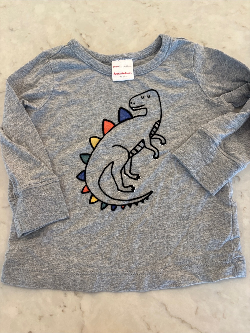 Hanna Andersson Heather Gray Long-Sleeve Tee with Colorful Dino